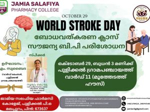 World Stroke Day 2025